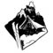Donor image