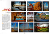 Image: an example of an article
