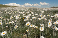 Image: screensaver of the national parks