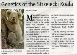 The clipping about the Strzelecki koala