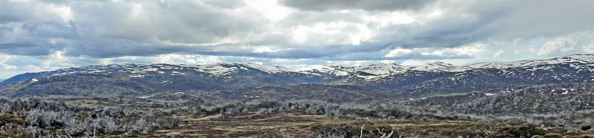 DSCN2880-panorama from East1-1200-280